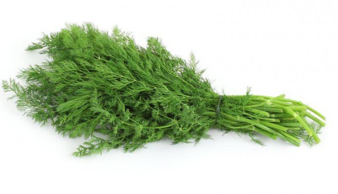 Remedii naturale pe bază de mărar - marar-1345766956.jpg