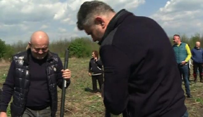 Marcel Ciolacu pune umărul la împădurit: Liderul PSD a trecut de la costum, la sapă