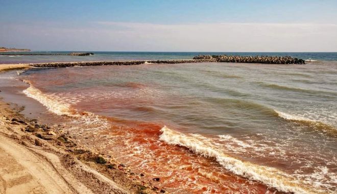 Fenomen rar pe litoral: Marea Neagră a devenit roşie. Explicaţiile biologilor