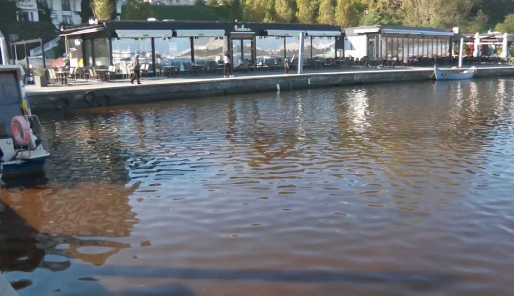 Fenomen rar pe litoral! Marea Neagră a devenit...roșie - marea-rosie-1729790731.jpg