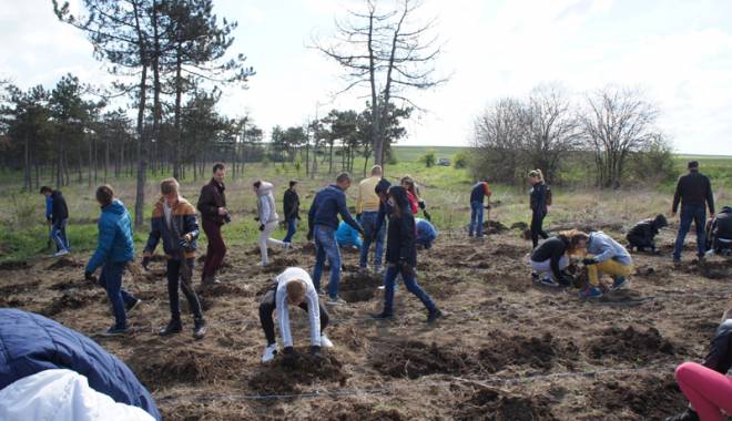 Sute de copaci, plantați de voluntari în rezervația Fântânița - marenostrumplantare-1429893722.jpg