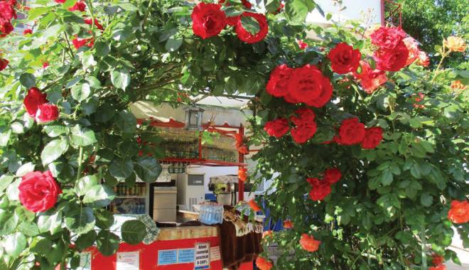 La Casa Margo, din 2 Mai, ești servit ca un rege! - margo12-1438613042.jpg