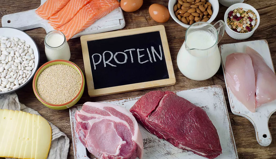 Proteinele sunt esențiale pentru refacerea și dezvoltarea musculară - masa-musculara-1769944800.webp