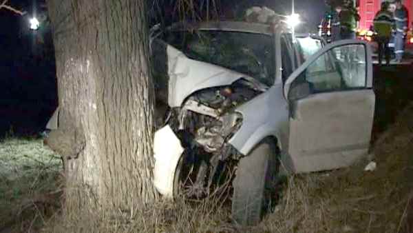 TRAGEDIE RUTIERĂ LA CONSTANȚA! Un tânăr a murit, după ce s-a izbit cu mașina în trei pomi - masinaincopac-1482829971.jpg