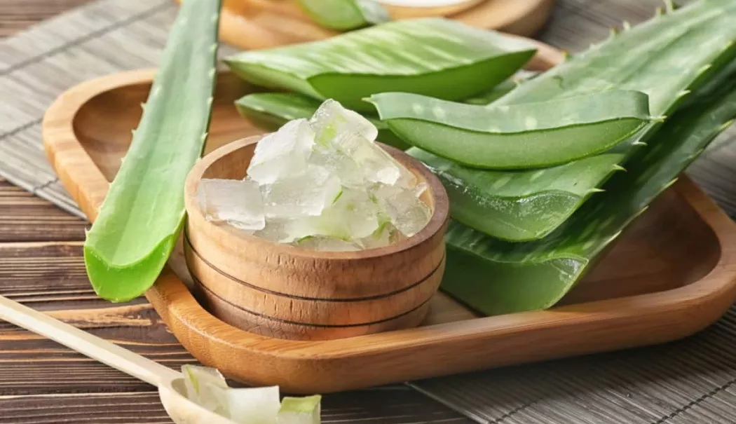Răsfățați-vă pielea cu aloe vera și aflați cât timp să o lăsați să acționeze - masti-1774012340.webp