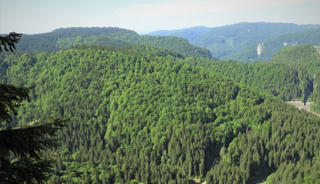 Măsuri suplimentare pentru prevenirea și stingerea incendiilor în fondul forestier din ţara noastră - masuri-1628597002.jpg