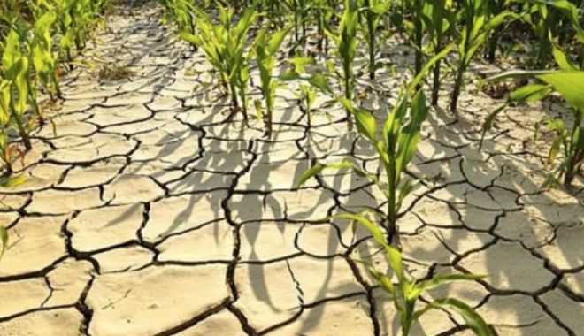 Măsuri pentru combaterea efectelor schimbărilor climatice - masuripentrucombatereaefectelors-1660490601.jpg