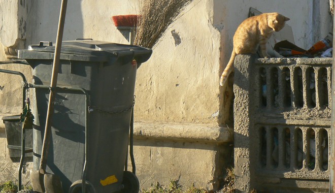 Băiețel nou născut, găsit într-un TOMBERON. Nu a fost găsit vinovatul! - matzatomberon-1369318812.jpg