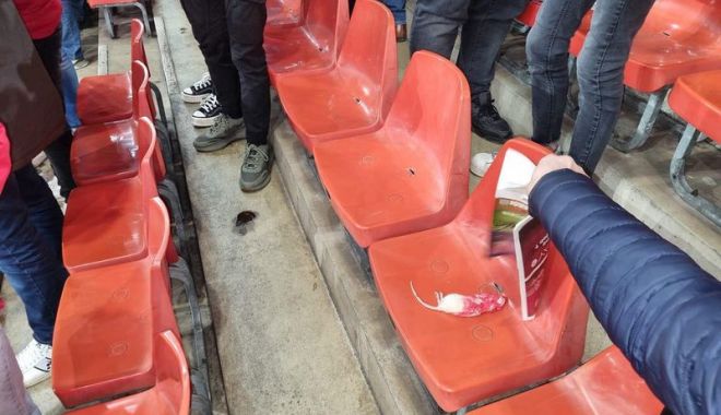 Șobolani morți aruncați în tribune, la un meci de fotbal - meci-1681660230.jpg