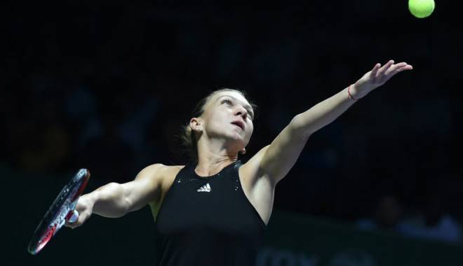 Câte mii de euro costă un amical cu Simona Halep - meciul-1416507109.jpg