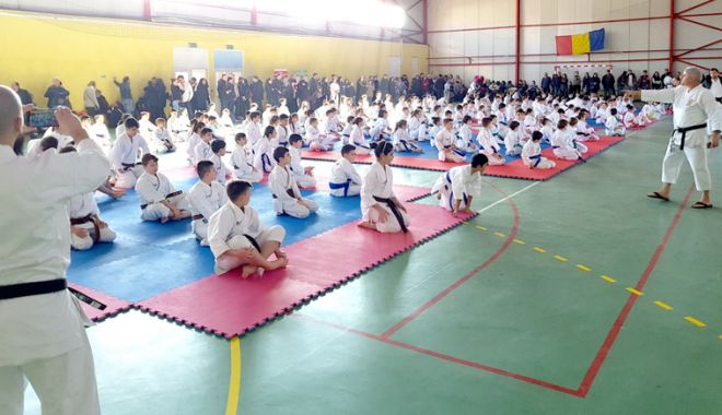Medalii pentru sportivii din Eforie Nord, la Karate Tradițional - medalii-1519149261.jpg