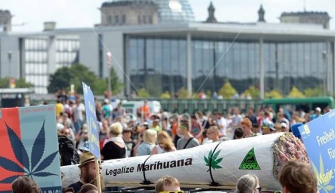 Mii de persoane cer legalizarea marijuanei - media143906393501900700-1439105633.jpg