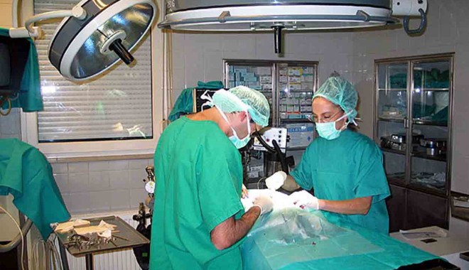 Ministerul Sănătății/ Mai multe locuri la concursul de rezidențiat - medici-1352212373.jpg