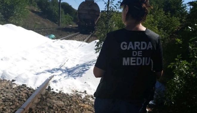 Societatea de transport mărfuri pe calea ferată, amendată cu 60.000 de lei - mediu-transport-1691933412.jpeg