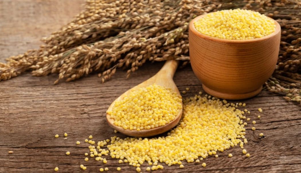 Meiul este o alternativă sănătoasă la cerealele tradiționale - meiul-1724239524.png