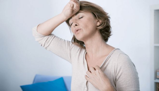 Plante care vă ajută să depășiți mai ușor simptomele date de menopauză - menopauzajpg-2-1685102182.png