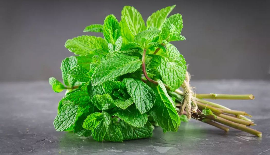Menta ajută la calmarea simptomelor răcelii și reduce reacțiile alergice - menta-1718022057.jpg