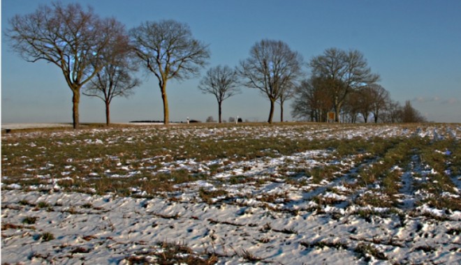 Crăciun de primăvară: maxime de 11 GRADE în Constanța - meteoiarna29197500-1356511353.jpg