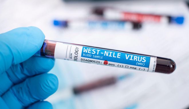 INSP: 28 de cazuri de infecţie cu virusul West Nile, înregistrate până în 30 august