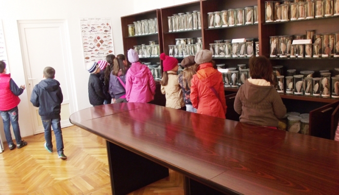 Micii cercetători,  în vizită  la Institutul 