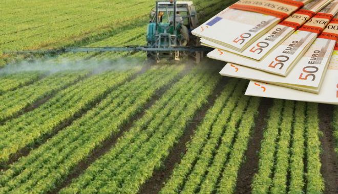 Microgranturi de 49,44 milioane de euro pentru sectorul agroalimentar