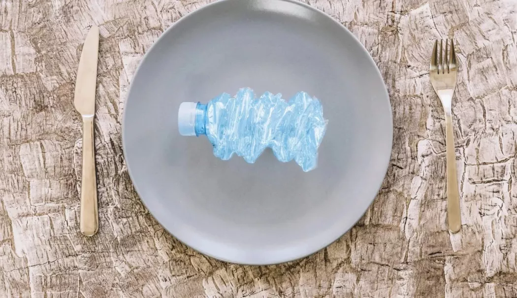 Microplasticele din alimentație, pericol invizibil în farfuria noastră - microplastice-1772384096.webp