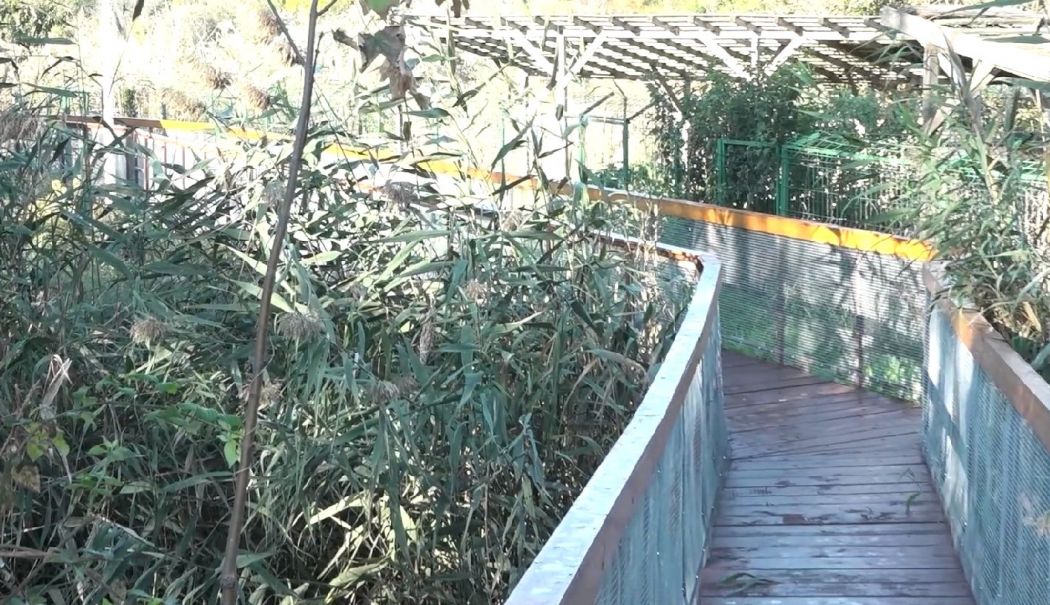 Lucrările de infrastructură la microrezervație se apropie de final - microrezervatie-1729791333.jpg