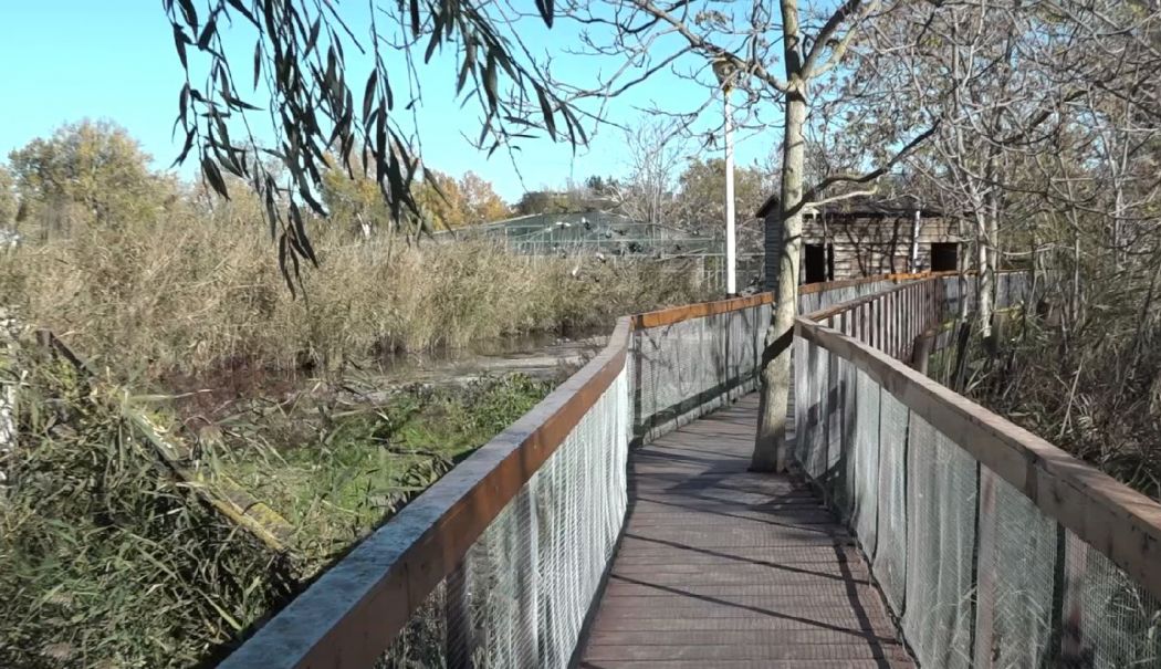 Haine noi pentru microrezervația din Constanța - microrezervatie-1730829985.jpg