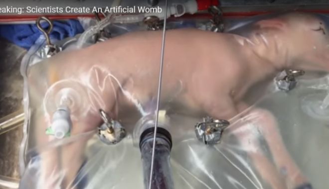 IMAGINI CARE TE LASĂ FĂRĂ CUVINTE! Primii foetuși crescuți într-un uter artificial extern - mielcrescutinuterartificial54009-1521977510.jpg