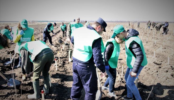 Mii de voluntari la acțiunile de împădurire derulate de Romsilva - miidevoluntari-1526571010.jpg