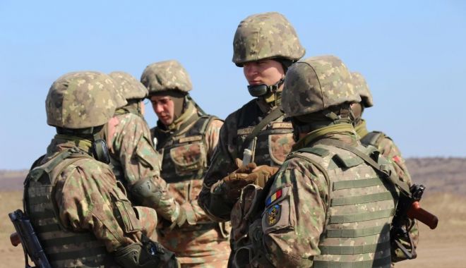 Militari români și străini, perfecționare în cadrul exercițiului Platinum Eagle - militari-1554414556.jpg