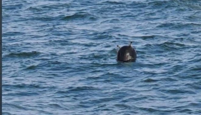 Mină marină descoperită în zona Eforie. Plutea în derivă, la o distanţă de 3,6 kilometri de țărm - mina-1659369618.jpg