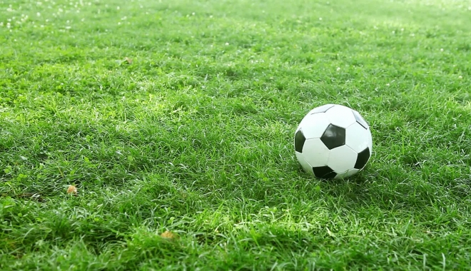 Fotbal / Zambia a eliminat Germania, la Mondialele sub 20 de ani din Coreea de Sud - minge-1496308379.jpg