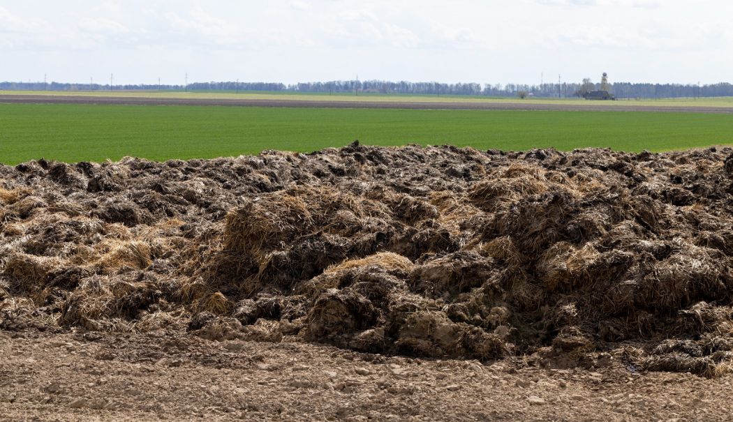 Ministrul Mediului anunță finanțări de 6 milioane de euro pentru sistemele de compostare în zonele agricole - ministerul-mediului-1713549743.jpg