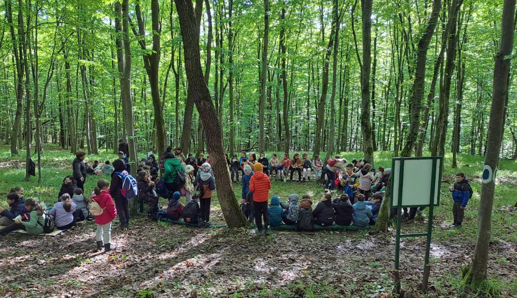 Ministerul Mediului și școlile din România s-au unit pentru educația ecologică în Săptămâna Verde - ministerul-mediului-1715282163.jpg