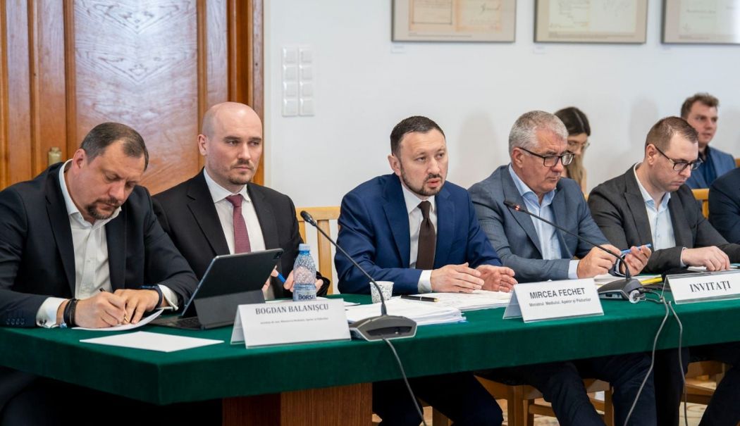 Noul Cod Silvic, în dezbatere. Ministrul Mediului: 