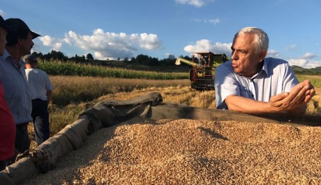 Fermierii români afectați de importurile cerealelor ucrainene, pot depune cereri până pe 11 mai