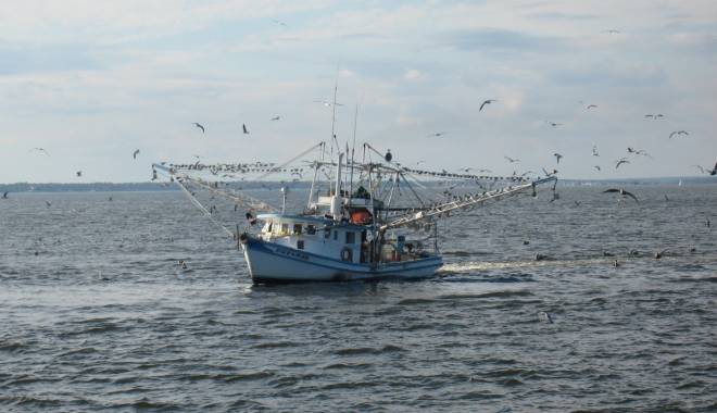 Misiune de salvare a unui pescador românesc. Ce spune Autoritatea Navală Română - misiunesalvare-1425472607.jpg