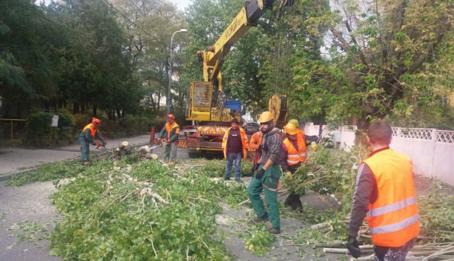 Constănțenii se mobilizează! Cartierele, înfrumusețate, ecologizate și igienizate! - mobilizaremasiva21476804967-1553600631.jpg