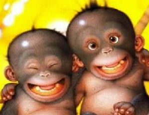 Bancuri - monkeysmile-1348688090.jpg