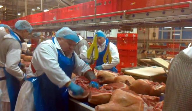 Mozaic economic - mozaiceconomic-1523377661.jpg