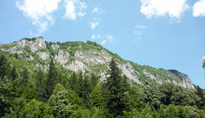 Epava planorului dispărut în luna august a fost găsită în județul Brașov - muchia-1448107229.jpg