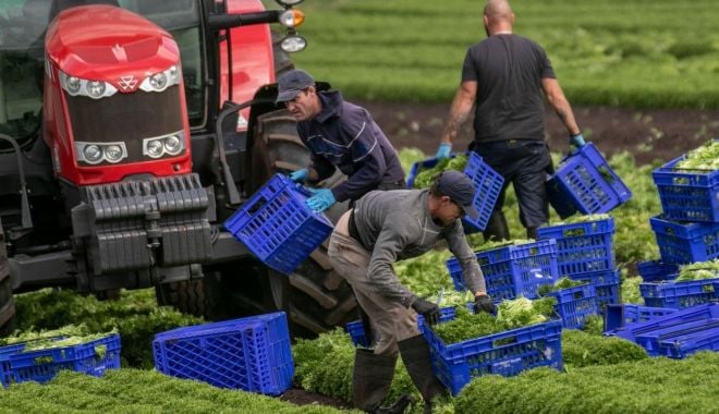 Vreţi să lucraţi în Regatul Unit? Ce trebuie să ştiţi despre condiţiile de muncă - muncasursazf-1622386006.jpg