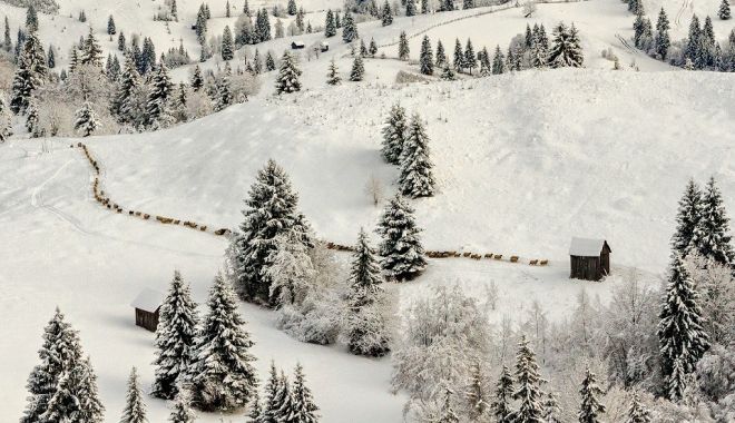 A început să ningă la munte! Imagini spectaculoase cu zăpada din România - munte3-1669053844.jpg