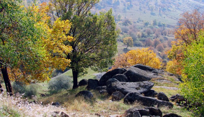 Constănțeni, într-o oră puteți ajunge la munte - muntiimacinului-1359730525.jpg
