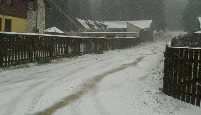 Lapoviță și ninsoare în munții Rodnei, la peste 1.200 de metri altidudine - muntiirodnei-1632320090.jpg