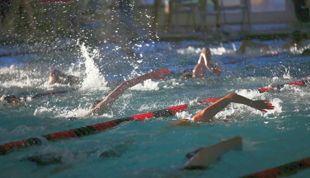 Doi sportivi de la CSM Constanța, rezultate bune la un concurs internațional - natatie-csm-1781177996.webp
