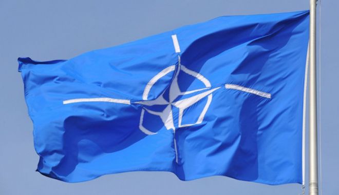 Angajatii NATO nu au voie pe TikTok la serviciu