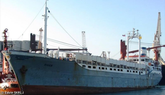 Exportul de berbecuți vii prin portul Midia a explodat - navarihab-1371750318.jpg