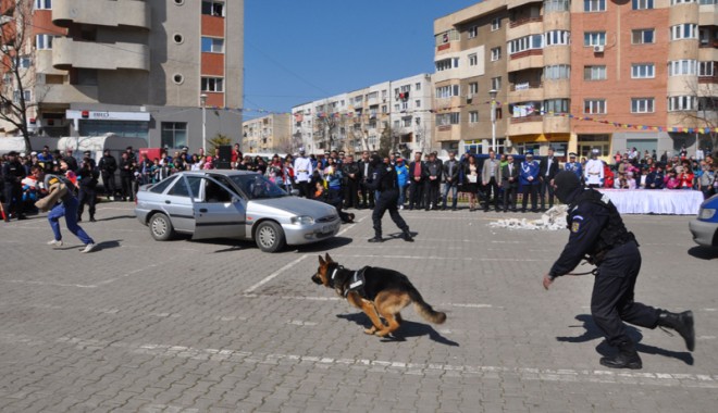 Ziua Jandarmeriei Române, sărbătorită cu demonstrații, la Năvodari - navodari-1364923699.jpg